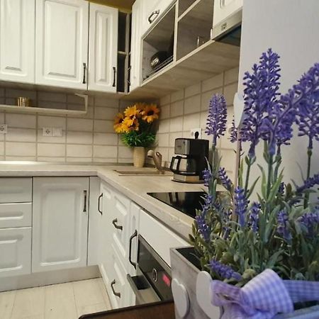 Apartament 3 Camere Spatios Timisoara Exterior photo