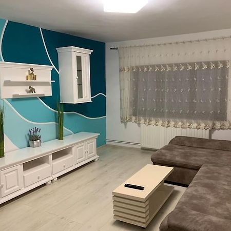 Apartament 3 Camere Spatios Timisoara Exterior photo