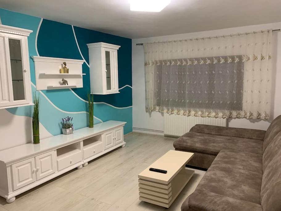 Apartament 3 Camere Spatios Timisoara Exterior photo